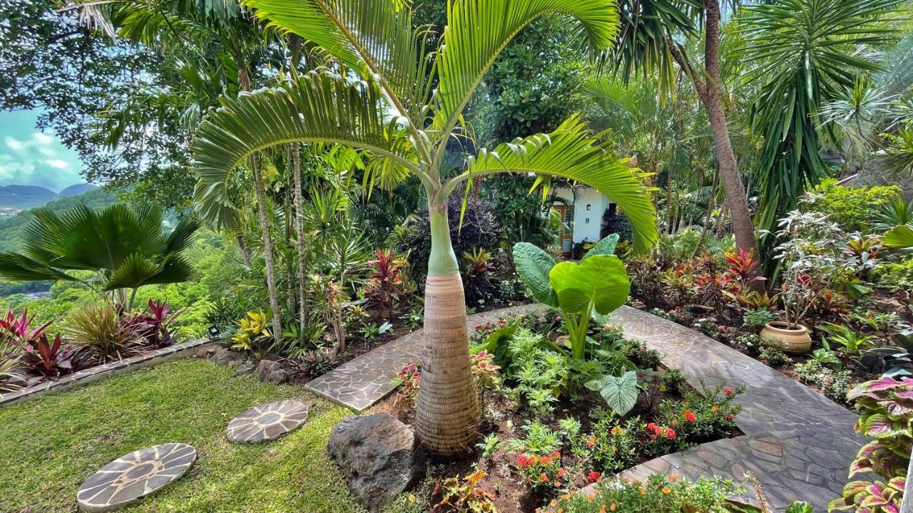 فندق Tropical Hideaway Port Elizabeth المظهر الخارجي الصورة