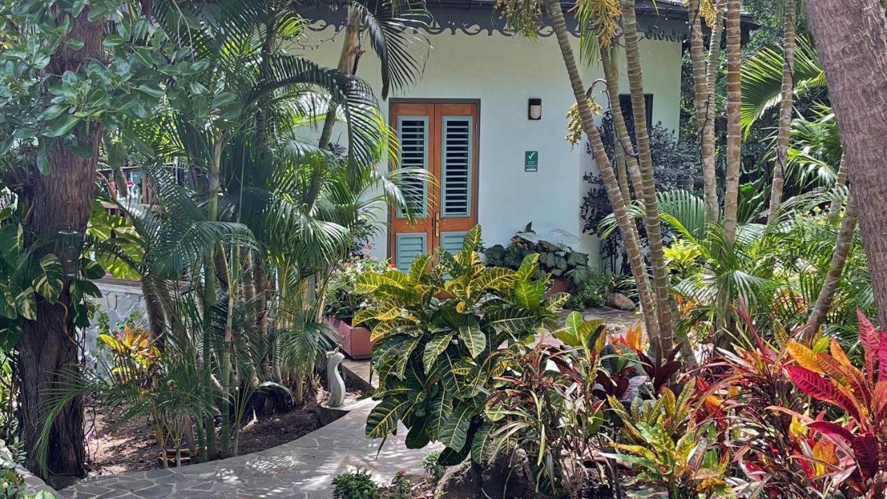 فندق Tropical Hideaway Port Elizabeth المظهر الخارجي الصورة