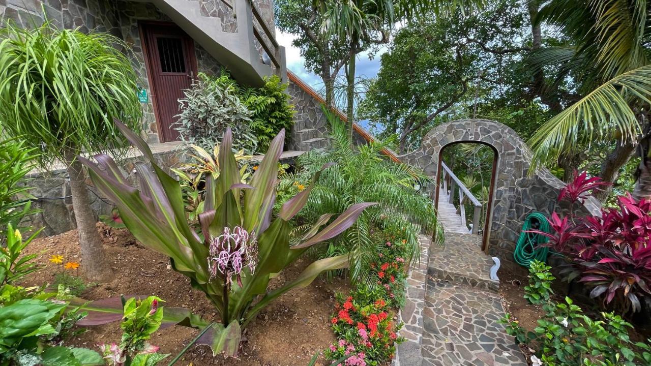 فندق Tropical Hideaway Port Elizabeth المظهر الخارجي الصورة