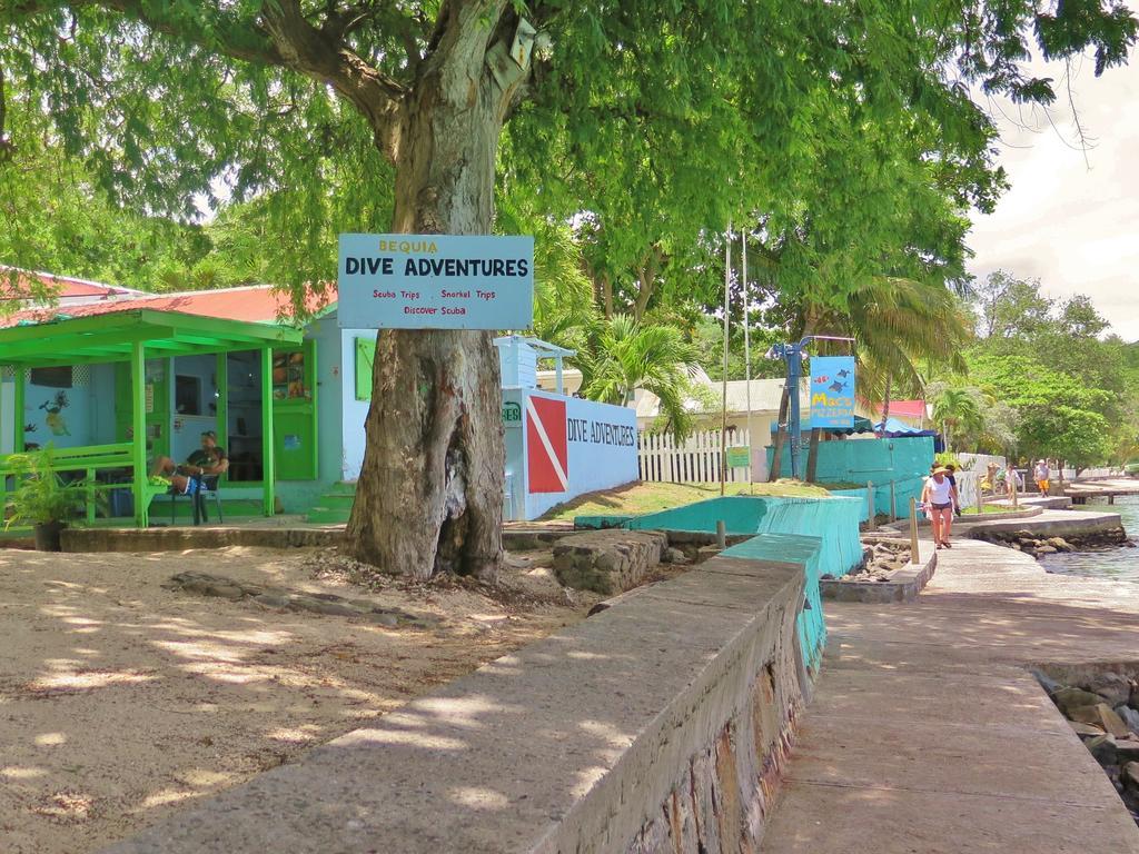 فندق Tropical Hideaway Port Elizabeth المظهر الخارجي الصورة